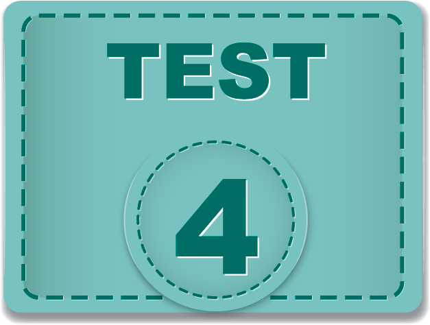 Test DGT 4